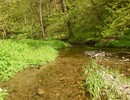 Tytersk potok